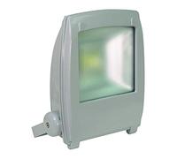 Electrovision Eagle Slimline LED floodlight (Power (W) 70 colour white)