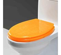 Eleeonora Resin Toilet Seat,Glitters Toilet Seat,Thickened Resin Toilet Seat,Funny Toilet Seat,Hinged Connection,Comfortable,Easy To Clean,Bright Colors,Suitable For Hotel Toilet Decoration