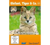 Elefant, Tiger & Co. 24. Zur Sache, Kätzchen