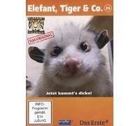 Elefant, Tiger & Co. 26. Heidi jetzt kommts dicke!