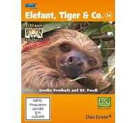 Elefant, Tiger & Co. 34. Große Freiheit auf St. Fauli