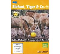 Elefant, Tiger & Co. 36 Fußballfieber! Elf Freunde müßt ihr sein!