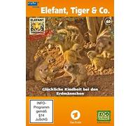 Elefant, Tiger & Co. 40 Glückliche Kindheit bei den Erdmännchen
