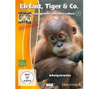 Elefant, Tiger & Co. - Das große Wiedersehen Teil 7 - Königskinder