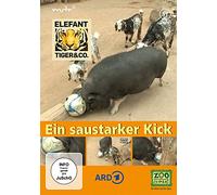 Elefant, Tiger & Co. - Teil 57 - Ein saustarker Kick