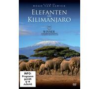 Elefanten am Kilimanjaro
