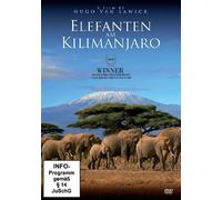 Elefanten am Kilimanjaro