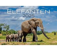 Elefanten Kalender 2025: Einfühlsame Fotografien der sanften Riesen Afrikas