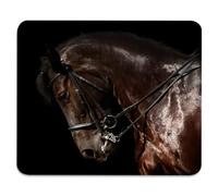 Elegance Of The Arabian Horse Mouse Mat Non-Slip Mousepads Smooth Mouse Pads For Computer Office Laptop 25X30Cm