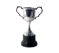 Elegant 18cm Silver Trophy Cup, ideal award for sports, competitions & ceremonies