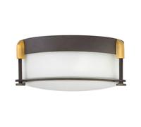 Elegant 2 Bulb Flush Light For Low Ceilings In Oil Rubbed Bronze Finish