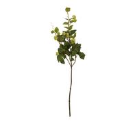 Elegant 88CM Pale Lime Hops, Versatile Artificial Flower Foliage, Sustainable And Easily Maintained Hops Premier Housewares Green One Size