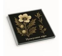 Elegant Acrylic Coaster Gift - Midnight Botanica Design with Vintage Botanical Illustrations for Home Decor Enthusiasts