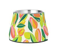 Elegant Almonds Neon Ash Pink Green Bowl for Dogs Elevated Stainless Steel Pets Feeding Bowl for Medium Dogs Whisker Fatigue