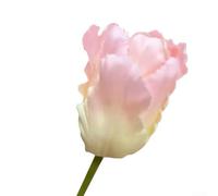 Elegant Artificial Tulip Flowers for Home and For Wedding Decor Real Touch Feel for Stunning Arrangements (Pink)