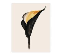 Elegant Calla Lily Flower Bloom Black Gold Floral Wall Art Print Artery8 Black W24 inch x H32 inch