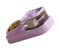 Elegant Cats Bowl Food Dish Set Treat Water Dispenser Food Container 2 In 1 Water Bowls Pet Utensil Pet Feeding Bowls