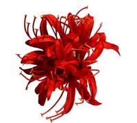 Elegant Chinese Silk Flower Hair Clip Ancient Hairpin With Long Tassels For Wedding Bridal Party Hair Accessory Chinese Styles Hairpin