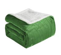 Elegant Comfort Ultra Soft Reversible Flannel Sherpa Blanket - Cozy Silky Fleece Throw for Couch, Bed - Plush Fuzzy Warm Winter Blanket for Gift, Full, Emerald Green