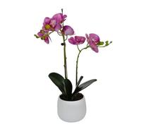 Elegant Double Stem Purple Real Touch Artificial Potted Orchid (46cm) In Round White Ceramic Pot