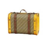 Elegant European Leather Case, Spacious Handheld Travel Case for Collectors and Enthusiasts, Daily Casual Use, Retro yellow, standard size