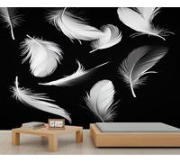 Elegant Feather Wall Mural Black and White Feather Mural Modern Minimalist Murals High Resolution Not Peel and Stick Wallpaper for Living Room Bedroom 100 x 70 cm