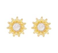 Elegant Floral Pattern Ear Attachment for FreeClip 1 2 Earbuds Enhancement Elegant Design