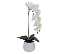 Elegant Large Single Stem White Real Touch Artificial Potted Orchid (65cm) in Round White Ceramic Pot