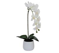 Elegant Large Single Stem White Real Touch Artificial Potted Orchid (65cm) In Round White Ceramic Pot