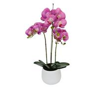 Elegant Large Triple Stem Purple Real Touch Artificial Potted Orchid (65cm) in Round Pink Triple Ceramic Pot