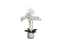 Elegant Large Triple Stem White Real Touch Artificial Potted Orchid (65cm) In Round White Ceramic Pot