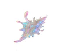 Elegant Metal Conch Shaped Hair Claw For Women Girls Trendy Hair Accessories Fashion Jewelry Hair Clip Adornment Metal Conch Hair Clip