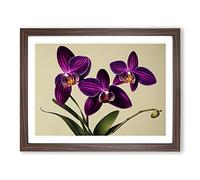 Elegant Orchid Flowers WHT Framed Print | A3 Walnut Framed Wall Art | Ready to Hang | Modern Floral Picture | Living Room Bedroom Lounge Office