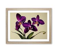 Elegant Orchid Flowers WHT Framed Print | A4 Oak Framed Wall Art | Ready to Hang | Modern Floral Picture | Living Room Bedroom Lounge Office