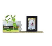 Elegant Pet Urns - Beautiful Pet Cremation Urns, Cherished Keepsake Pet Urns | Wooden Tributte Pet Urns, Standard Photo Frame Size Pet Memmory Box, Pet Memorial Picture Frame Urns for Loved Pets