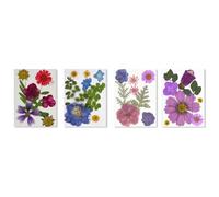 Elegant Pressed Real Flower Kits 32Pcs Dried Florals For Creative Handmade Projects Gift Ideas And Craft Designs Dried Flower Materials