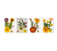 Elegant Pressed Real Flower Kits 32Pcs Dried Florals For Creative Handmade Projects Gift Ideas And Craft Designs Real Dried Flower For Resin Art