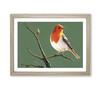 Elegant Robin Bird H1022 Framed Print for Living Room Bedroom Home Office Décor, Wall Art Picture Ready to Hang, Oak A2 Frame (64 x 46 cm)
