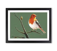 Elegant Robin Bird H1022 Framed Print for Living Room Bedroom Home Office Décor, Wall Art Picture Ready to Hang, Black A3 Frame (46 x 34 cm)