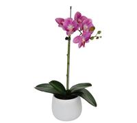 Elegant Single Stem Purple Real Touch Artificial Potted Orchid (46cm) In Round White Ceramic Pot