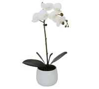 Elegant Single Stem White Real Touch Artificial Potted Orchid (46cm) In Round White Ceramic Pot