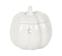 Elegant White Ceramic Pumpkin Electric Oil Burner - 10.5cm x 10.5cm (1 Pc.) - Lovely & Stylish Design, Durable Material - Perfect For Aromatherapy & Home Decor