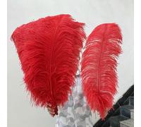 Elegant White Ostrich Feather Craft Sticks Artificial Party Wedding Decor Stage Performance Costume Accessories DIY Supplies-Red-45-50cm 18-20inch