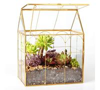 ELEGANTLIFE Glass Geometric Plant Terrarium,Succulent & Air Planter for Home Garden Office Decoration (Gold House)