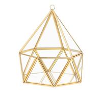 ElegantLife Glass Geometric Terrarium,Succulent & Air Plant(No Plant Included) (Gold)