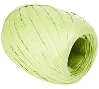 Eleganza 8 mm x 30 m Paper Raffia for Variety of Craft Projects and Gift Wrapping, No.14 Lime Green