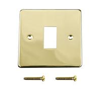 ElekTek Light Switch Cover Plate Conversion Single Victorian Brass