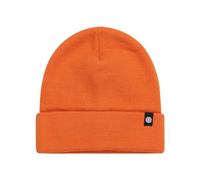 Element Beanie Carrier Beanie Men Orange One Size