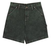 Element Big Carpenter Denim Shorts