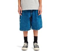 Element Big Carpenter Denim Shorts